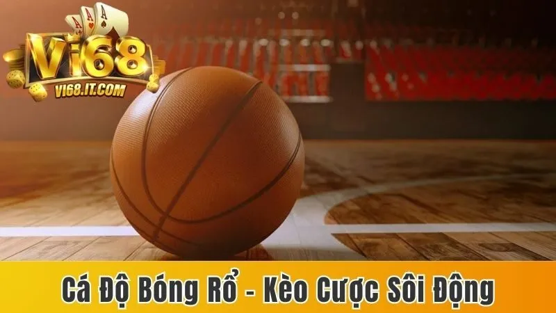 Cá độ bóng rổ