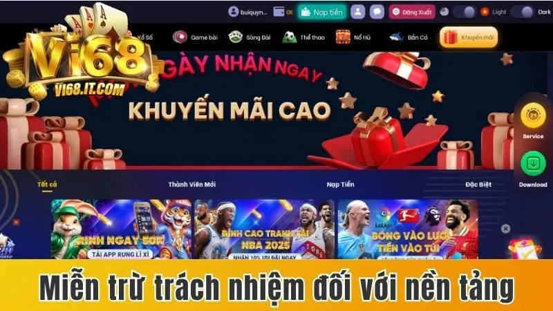 Miễn trừ trách nhiệm đối với nền tảng 