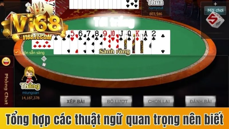 Chiến Thuật Tiến Lên Miền Bắc Giúp Bạn Thắng Chắc 99,98% 4 Tổng hợp các thuật ngữ quan trọng nên biết